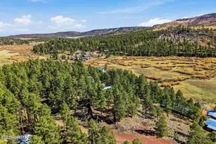 4 N1013, Greer, AZ 85927 - Photo 38