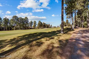 1520 S Little Leaf Ln, Show Low, AZ 85901 - Photo 48