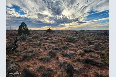 8694 Kasias Trail, Snowflake, AZ 85937 - Photo 18
