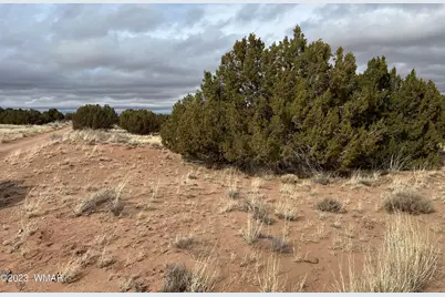 4053 S Pinto Road, Snowflake, AZ 85937 - Photo 2