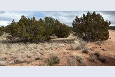 4053 S Pinto Road, Snowflake, AZ 85937 - Photo 8