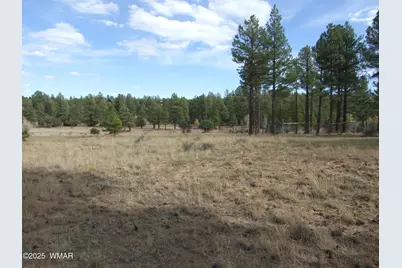 2925 Buckskin Canyon Rd, Heber, AZ 85928 - Photo 4