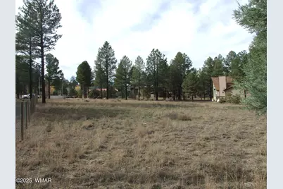 2925 Buckskin Canyon Rd, Heber, AZ 85928 - Photo 10