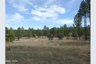 2925 Buckskin Canyon Rd, Heber, AZ 85928 - Photo 6