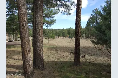 2925 Buckskin Canyon Rd, Heber, AZ 85928 - Photo 2