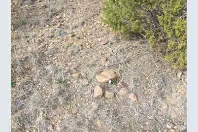 2925 Buckskin Canyon Rd, Heber, AZ 85928 - Photo 12