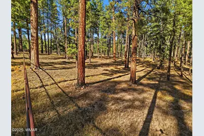25319 US Hwy 191, Alpine, AZ 85920 - Photo 18