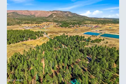 25319 US Hwy 191, Alpine, AZ 85920 - Photo 6