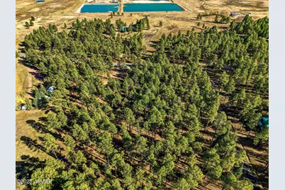 25319 US Hwy 191, Alpine, AZ 85920 - Photo 10