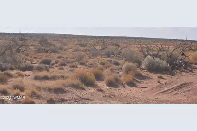 8272 Charolais Trail, Snowflake, AZ 85937 - Photo 2