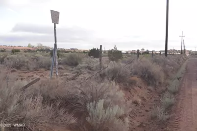 8272 Charolais Trail, Snowflake, AZ 85937 - Photo 4