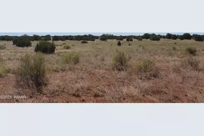 4962 Saddlehorn Road, Snowflake, AZ 85937 - Photo 2