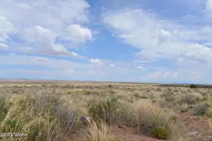 8181 Uttecht Trail, Snowflake, AZ 85937 - Photo 1