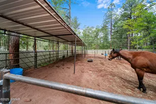 790 S Juniper Ln, Pinetop, AZ 85935 - Photo 42