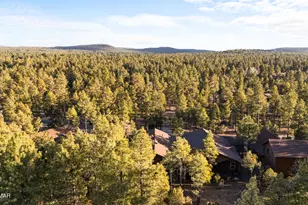 3510 W Black Oak Loop, Show Low, AZ 85901 - Photo 24