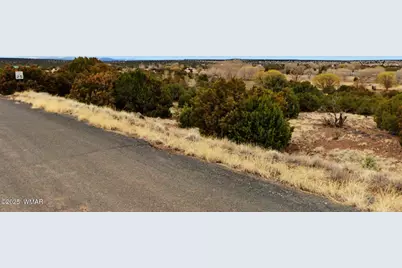 83 County Road 5083, Concho, AZ 85924 - Photo 6