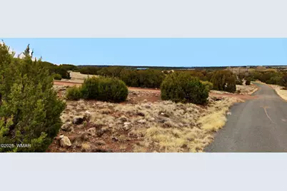 83 County Road 5083, Concho, AZ 85924 - Photo 8