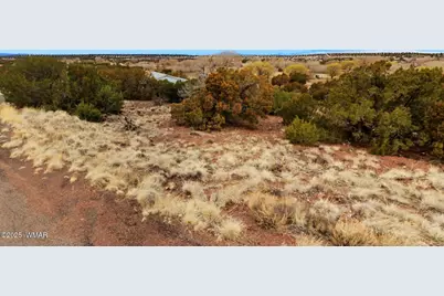 83 County Road 5083, Concho, AZ 85924 - Photo 4