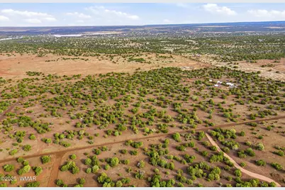 Tbd Silver Lake Blvd 16.32 Acres, Show Low, AZ 85901 - Photo 4
