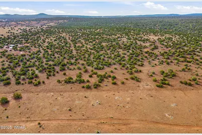 Tbd Silver Lake Blvd 16.32 Acres, Show Low, AZ 85901 - Photo 6