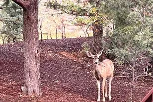 5410 N St Andrews Dr, Lakeside, AZ 85929 - Photo 10