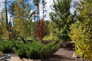 5410 N St Andrews Dr, Lakeside, AZ 85929 - Photo 32