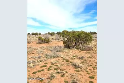5324 White Antelope Road, Snowflake, AZ 85937 - Photo 24