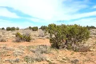 5324 White Antelope Road, Snowflake, AZ 85937 - Photo 24