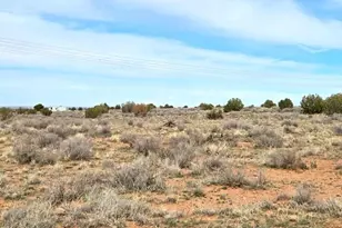 5324 White Antelope Road, Snowflake, AZ 85937 - Photo 14