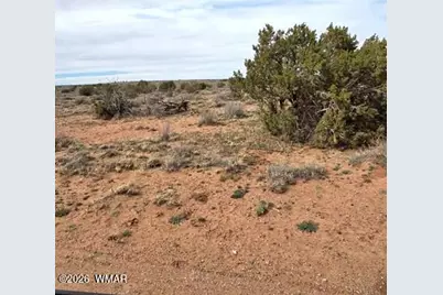 5324 White Antelope Road, Snowflake, AZ 85937 - Photo 12