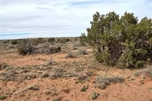 5324 White Antelope Road, Snowflake, AZ 85937 - Photo 12