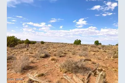5324 White Antelope Road, Snowflake, AZ 85937 - Photo 22