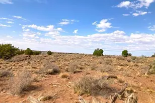 5324 White Antelope Road, Snowflake, AZ 85937 - Photo 22