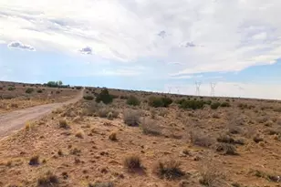 5324 White Antelope Road, Snowflake, AZ 85937 - Photo 4