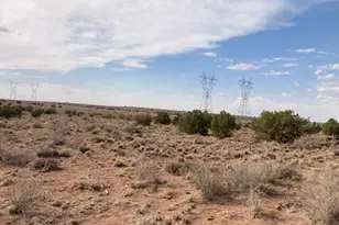 5324 White Antelope Road, Snowflake, AZ 85937 - Photo 6