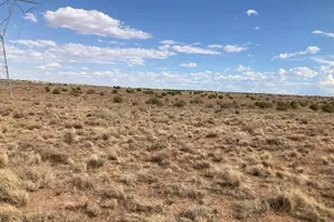 5324 White Antelope Road, Snowflake, AZ 85937 - Photo 2