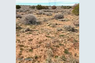5324 White Antelope Road, Snowflake, AZ 85937 - Photo 16