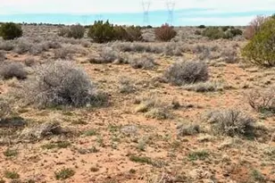 5324 White Antelope Road, Snowflake, AZ 85937 - Photo 16