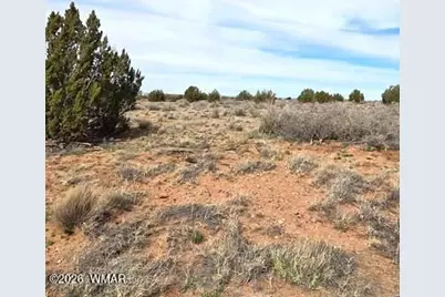 5324 White Antelope Road, Snowflake, AZ 85937 - Photo 10