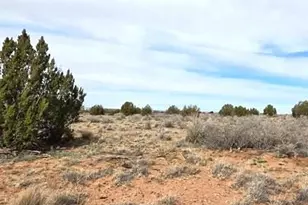 5324 White Antelope Road, Snowflake, AZ 85937 - Photo 10