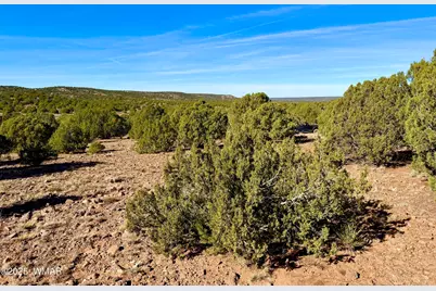 Tbd Kirkland Dr 20 Acres, Concho, AZ 85924 - Photo 10