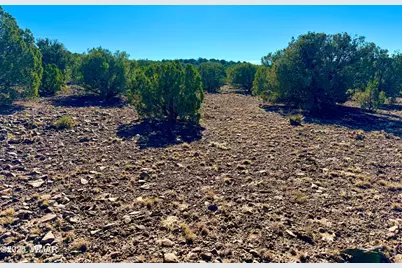 Tbd Kirkland Dr 20 Acres, Concho, AZ 85924 - Photo 14