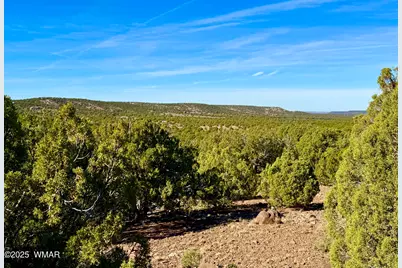 Tbd Kirkland Dr 20 Acres, Concho, AZ 85924 - Photo 2