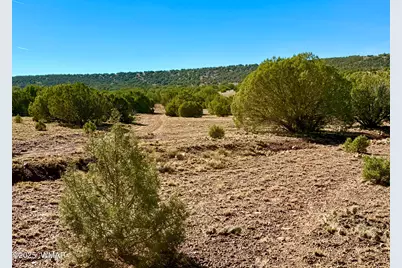 Tbd Kirkland Dr 20 Acres, Concho, AZ 85924 - Photo 24