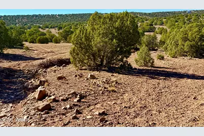 Tbd Kirkland Dr 20 Acres, Concho, AZ 85924 - Photo 22