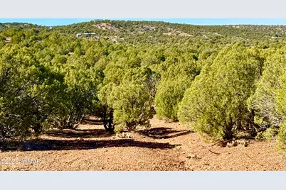 Tbd Kirkland Dr 20 Acres, Concho, AZ 85924 - Photo 26