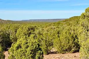 Tbd Kirkland Dr 20 Acres, Concho, AZ 85924 - Photo 1