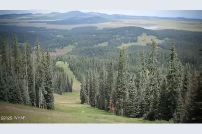 93 E White Mountain Boulevard, Unit 44 #44, Pinetop, AZ 85935 - Photo 36