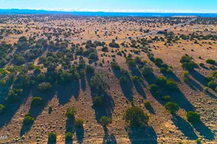 Tbd Cr 8637 Lot, Concho, AZ 85924 - Photo 1