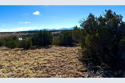 Tbd Cr 8637 Lot #210, Concho, AZ 85924 - Photo 6